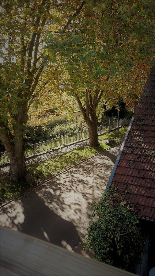 Haus Mit Seele Im Nahetal Weinsheim  エクステリア 写真