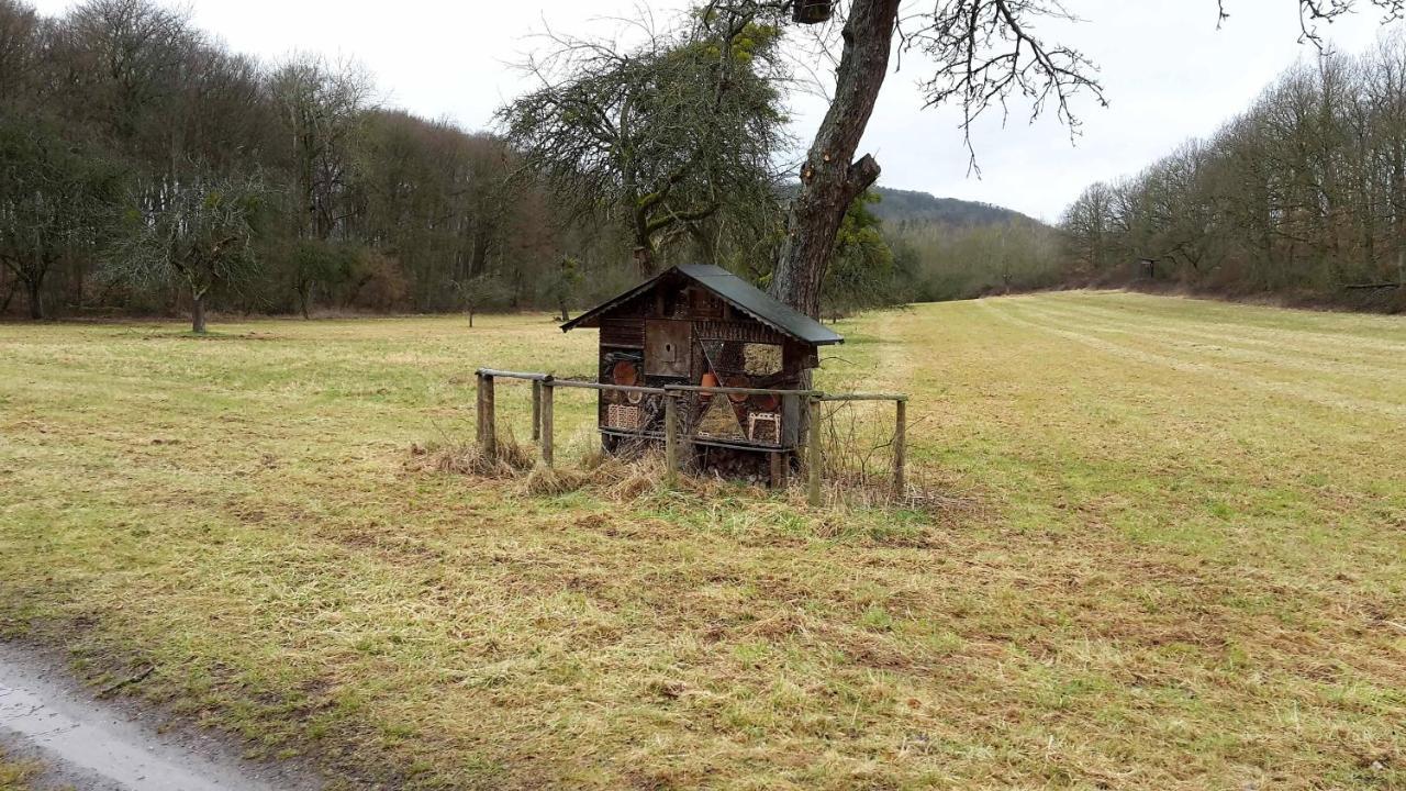 Haus Mit Seele Im Nahetal Weinsheim  エクステリア 写真