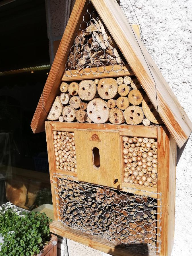 Haus Mit Seele Im Nahetal Weinsheim  エクステリア 写真