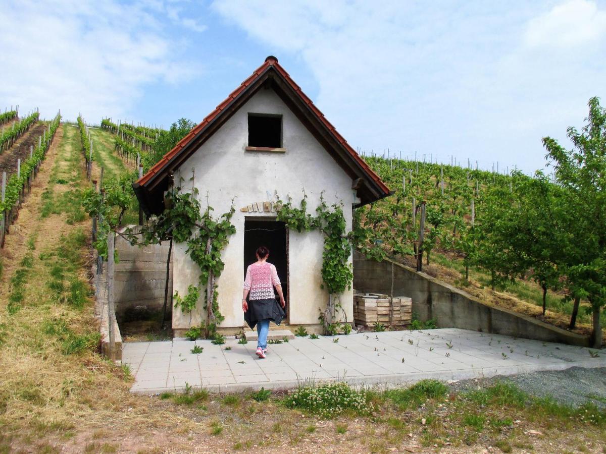 Haus Mit Seele Im Nahetal Weinsheim  エクステリア 写真